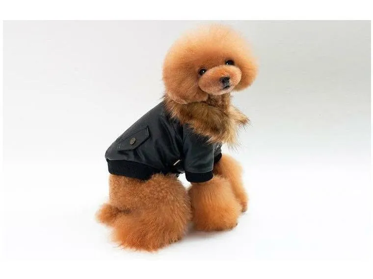 dog clothes Red S KLN-1725WN Pets Qatar