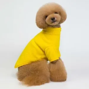 dog clothes Yellow M KLN-201876 Pets Qatar