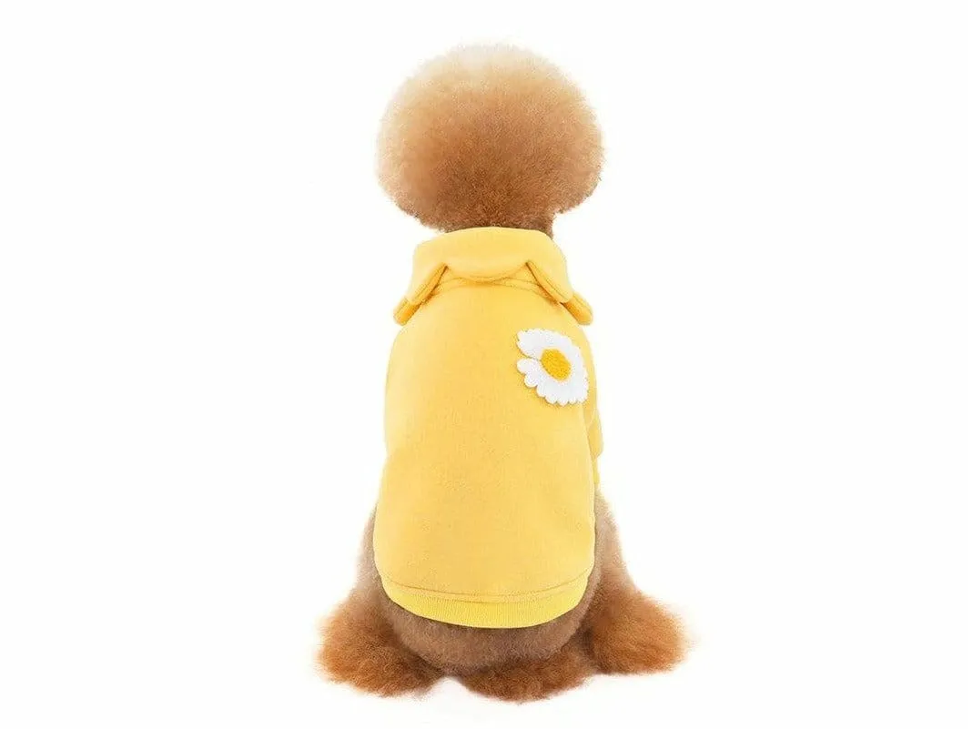 dog clothes Yellow S KLN20014 Pets Qatar