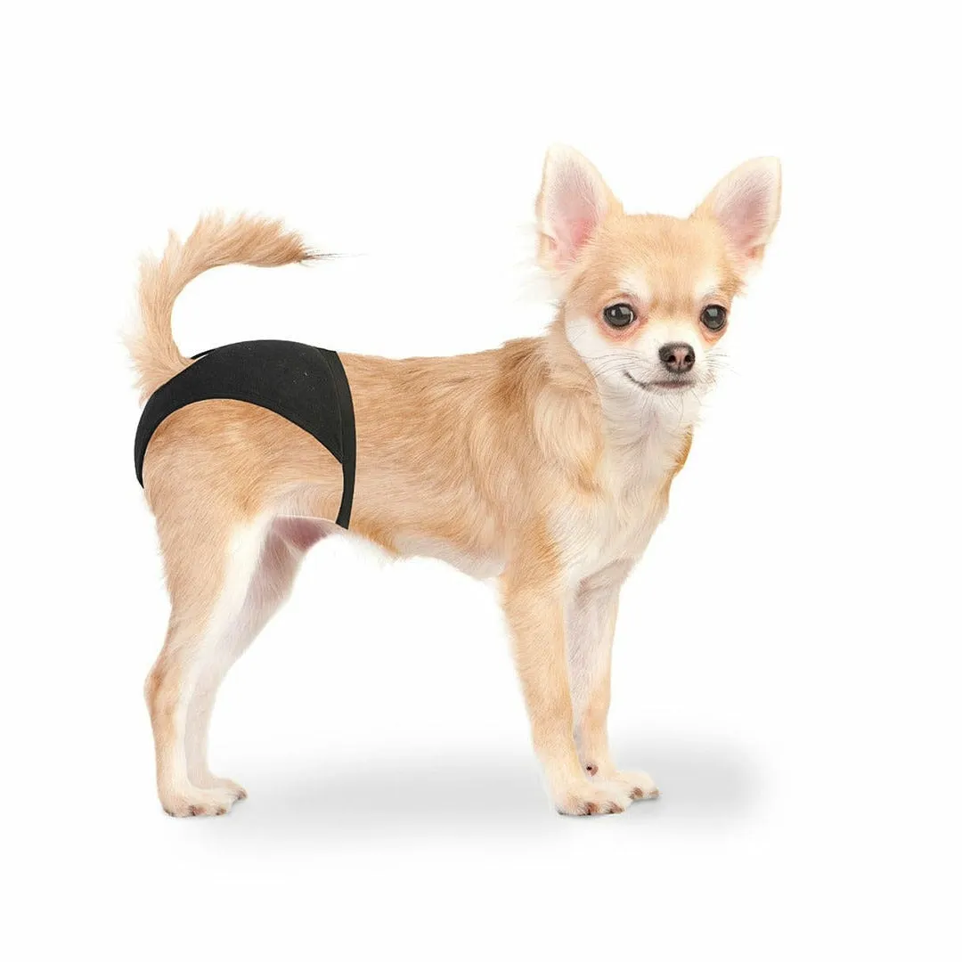 Dog Pants 18-23cm Pets Qatar