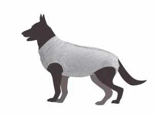 Dog shirt for post-operative care - 24 Pets Qatar