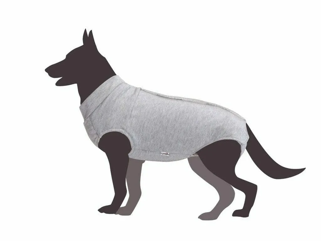 Dog shirt for post-operative care - 45 Pets Qatar