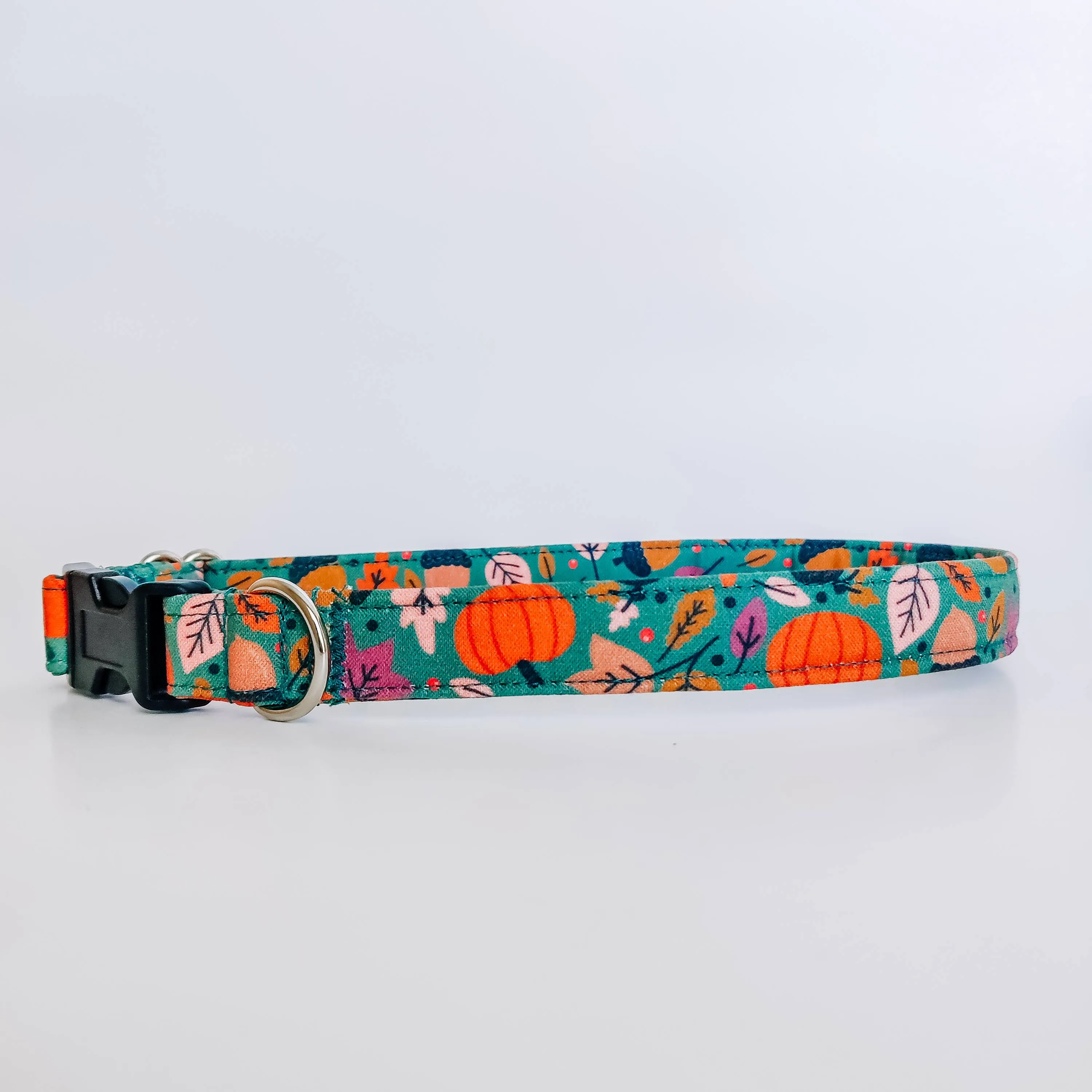 Fall Pumpkins Dog Collar/ Cat Collar Charlotte's Pet