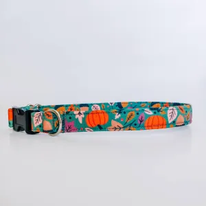 Fall Pumpkins Dog Collar/ Cat Collar Charlotte's Pet
