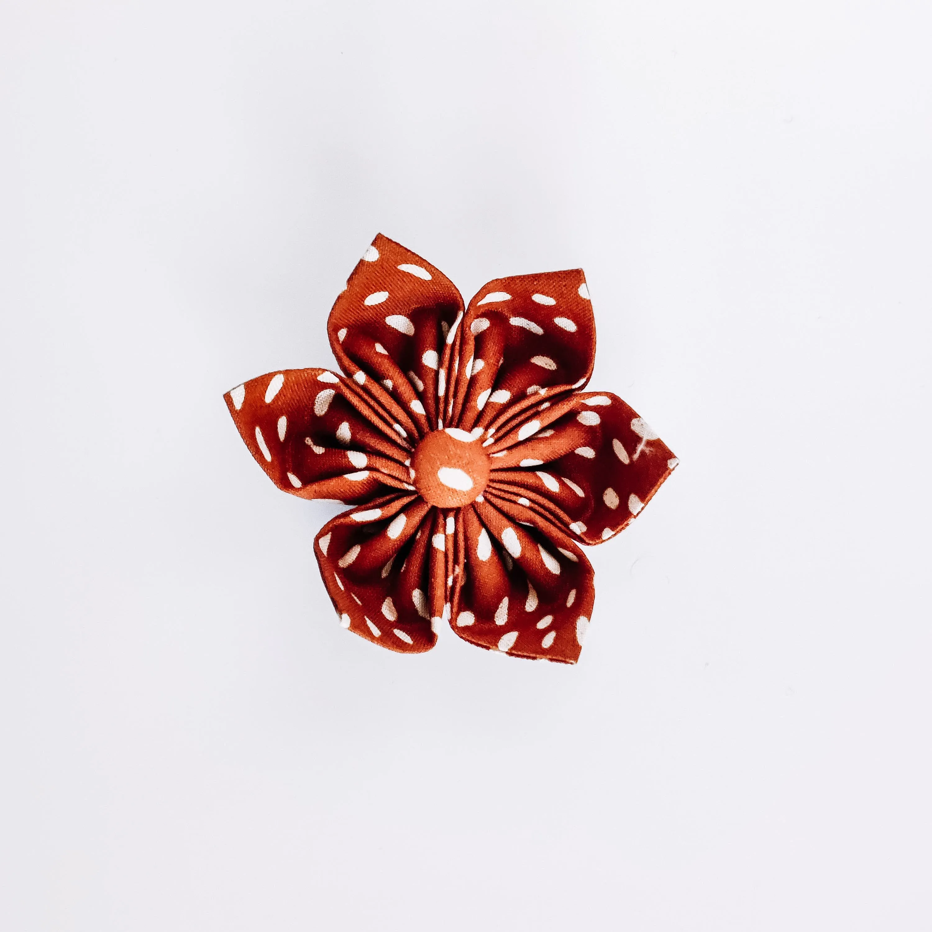 Fall Spots Dog & Cat Bow Tie/Collar Flower Charlotte's Pet