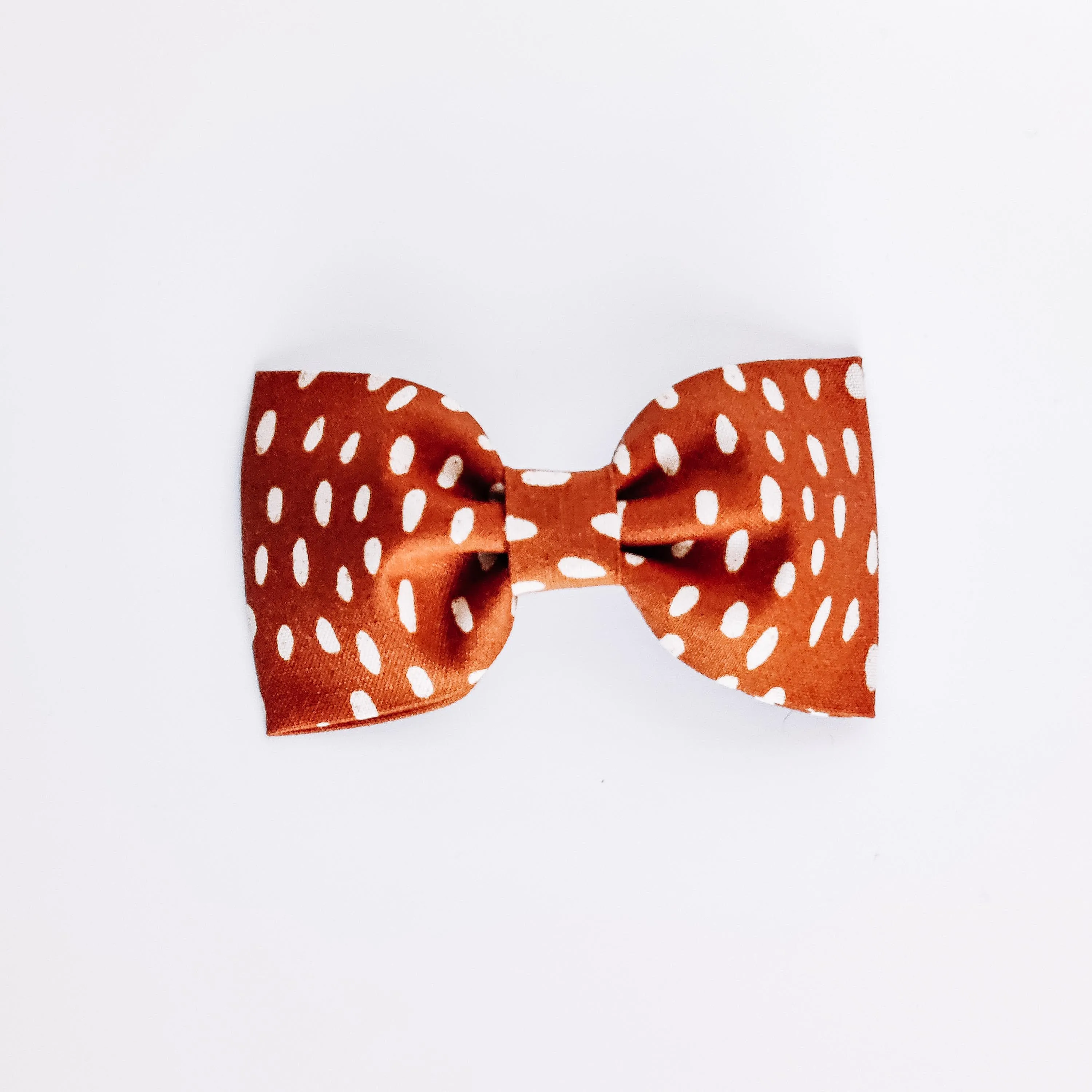 Fall Spots Dog & Cat Bow Tie/Collar Flower Charlotte's Pet