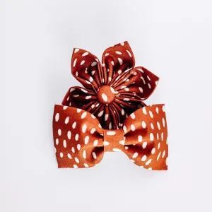 Fall Spots Dog & Cat Bow Tie/Collar Flower Charlotte's Pet