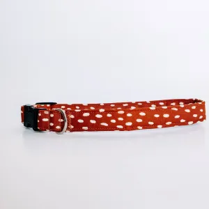Fall Spots Dog Collar/ Cat Collar Charlotte's Pet