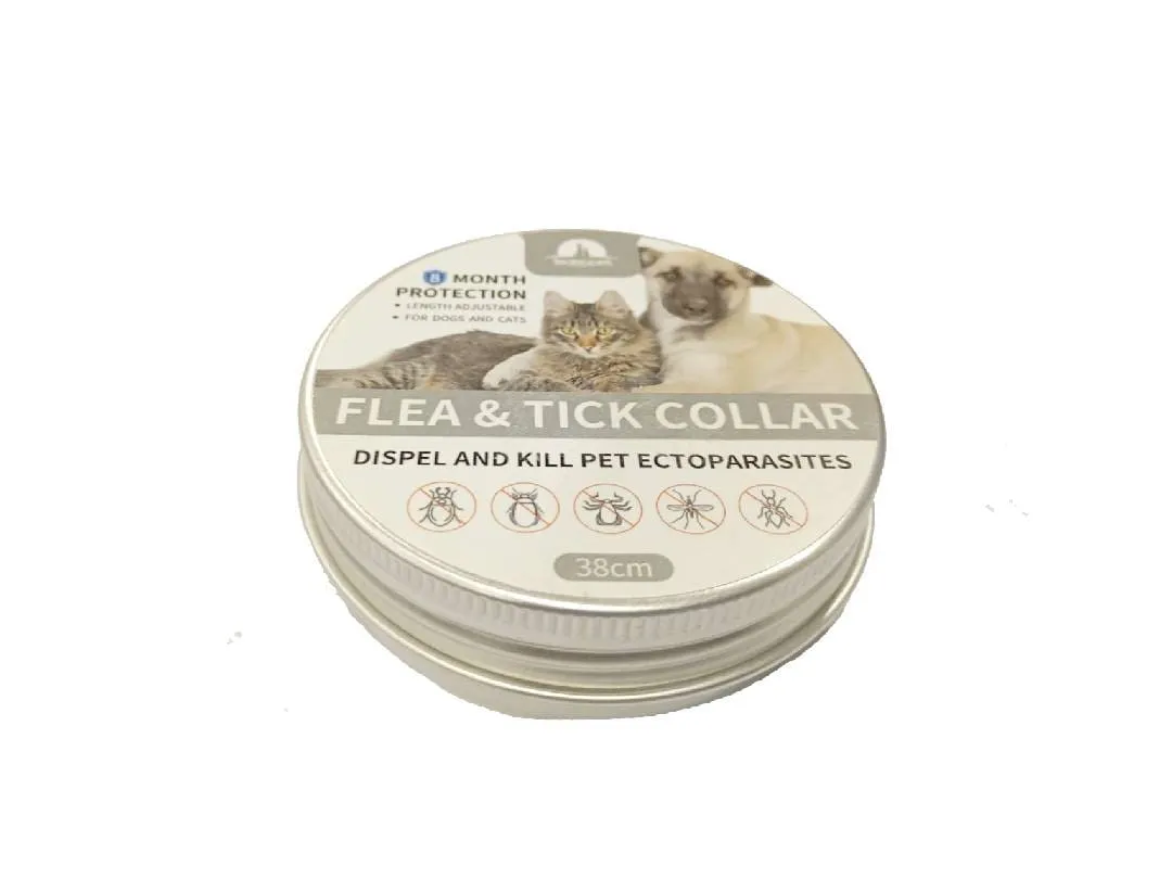Flea&Tick Collar For Cat 38Cm Pets Qatar