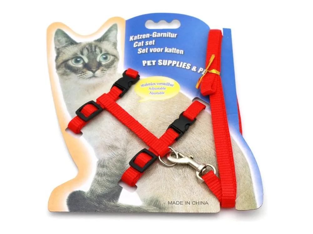 Fluorescent Solid Color Cat Belt Pets Qatar