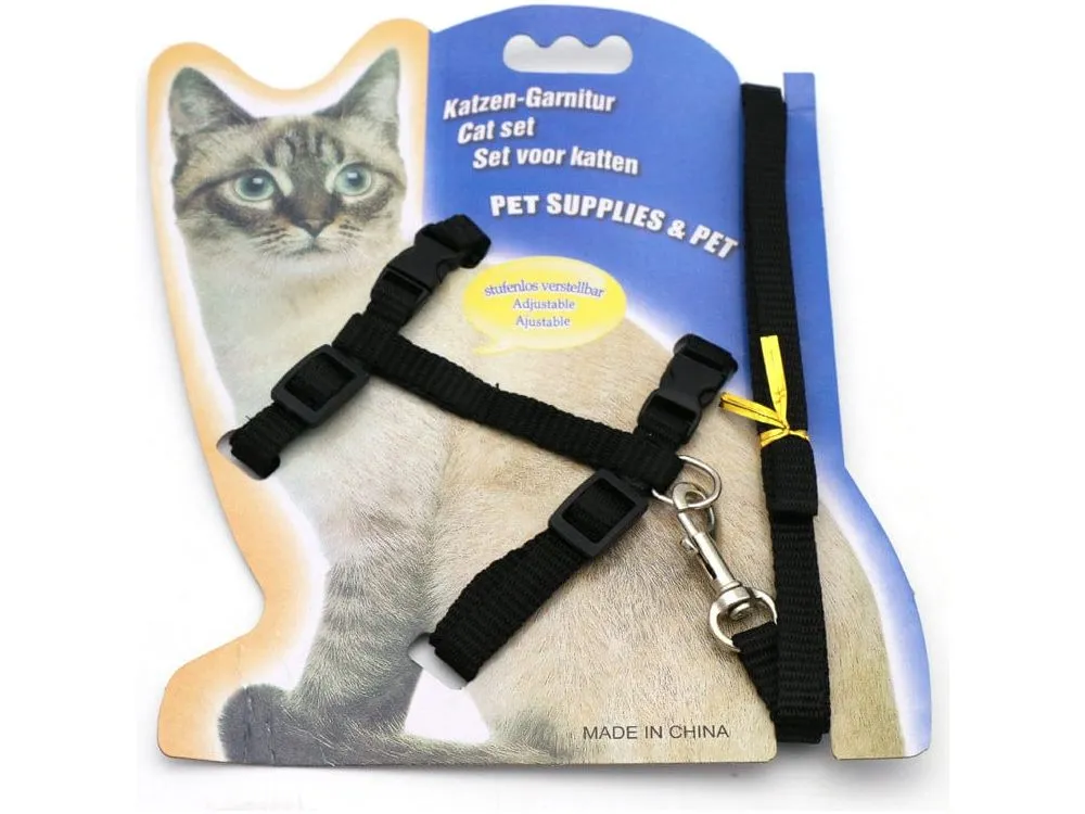 Fluorescent Solid Color Cat Belt Pets Qatar