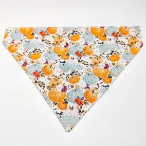 Harvest Pumpkins Dog Bandana & Cat Bandana Charlotte's Pet