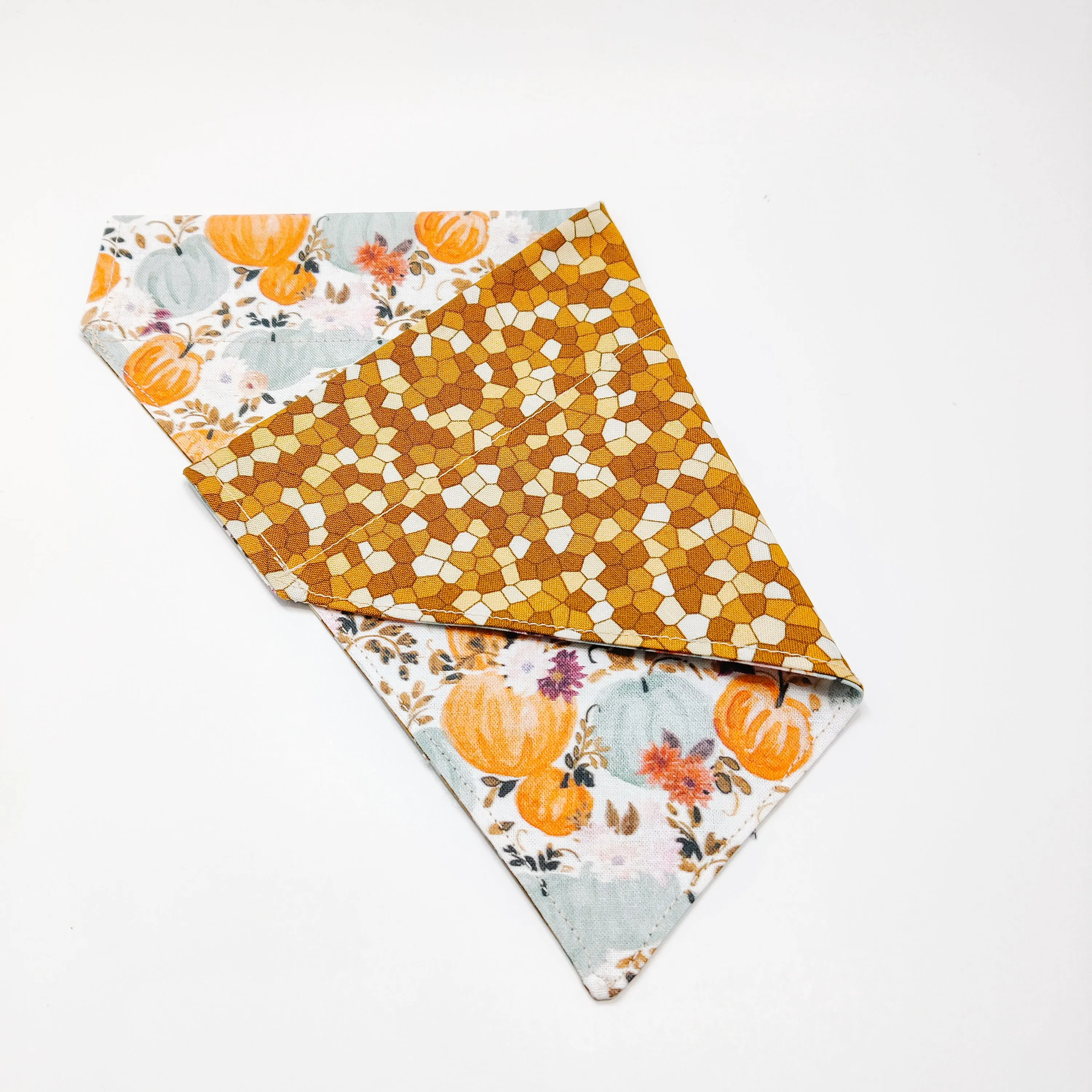 Harvest Pumpkins Dog Bandana & Cat Bandana Charlotte's Pet
