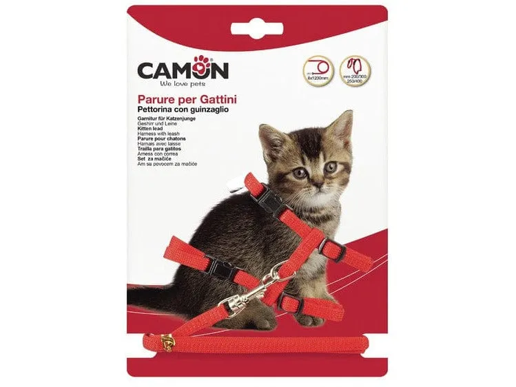 Kitten Lead Set 8X1200 Pets Qatar