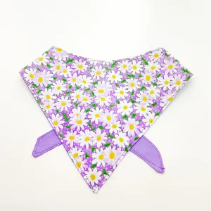Lavender Daisy Dog Bandana & Cat Bandana Charlotte's Pet