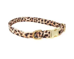 Leopard Print Dog Collar/ Cat Collar Charlotte's Pet