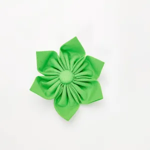 Lime Green Dog & Cat Bow Tie/Collar Flower Charlotte's Pet
