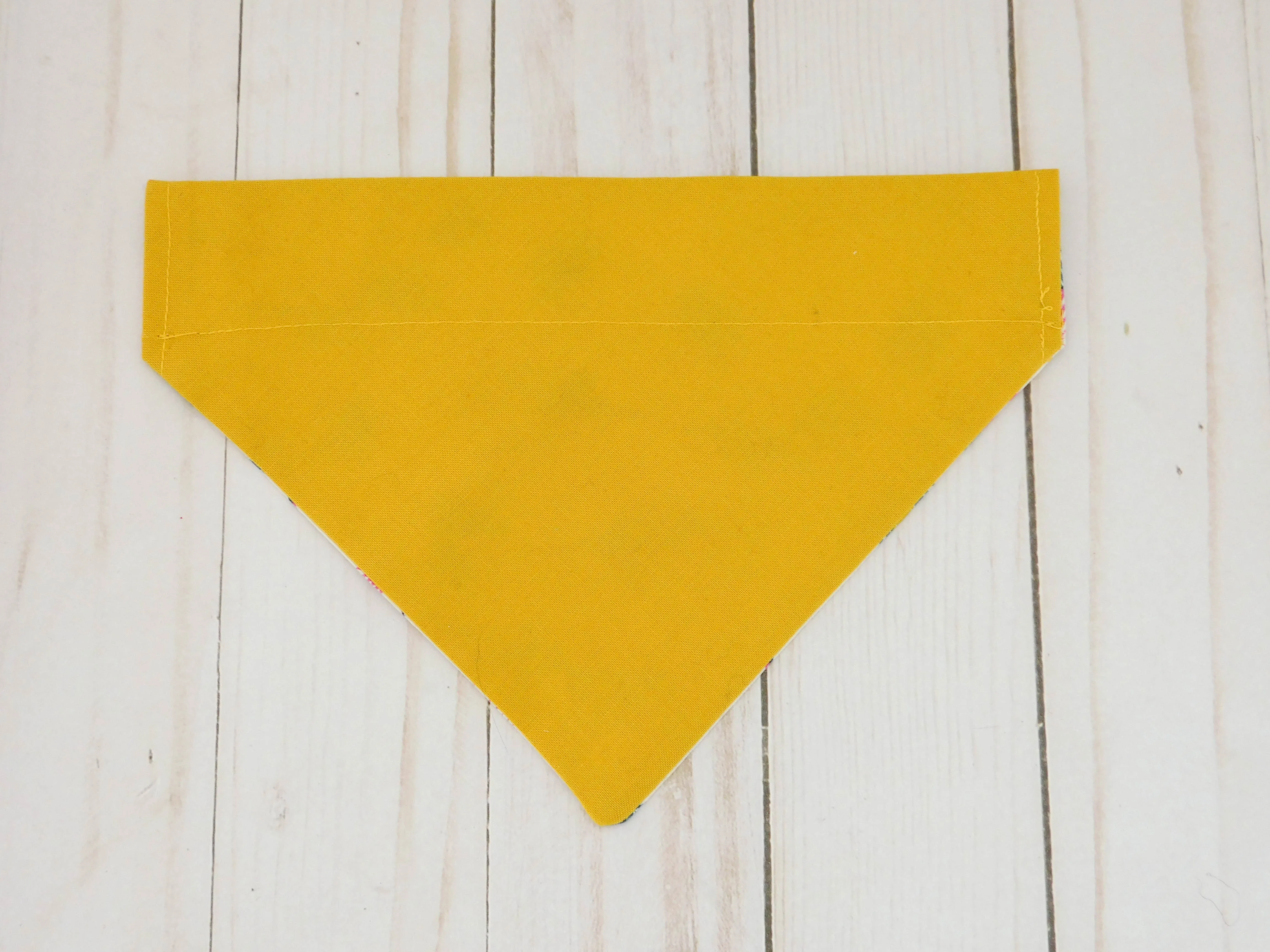 Multicolor Feather Dog Bandana Charlotte's Pet