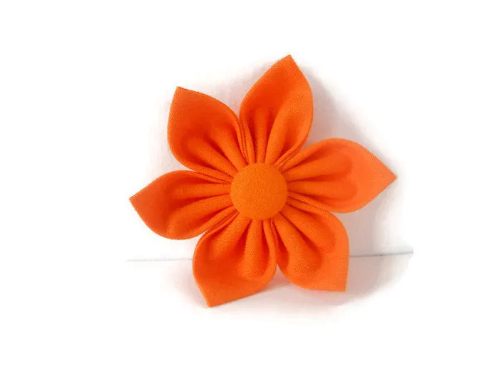 Orange Flower/Bow Tie Charlotte's Pet