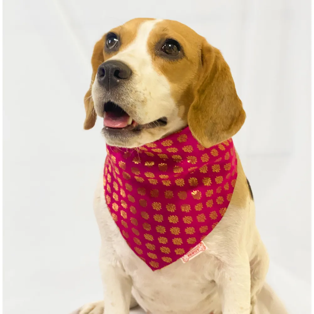 Pawgypets Occasion Wear Bandana for Dogs and Cats (Pink)