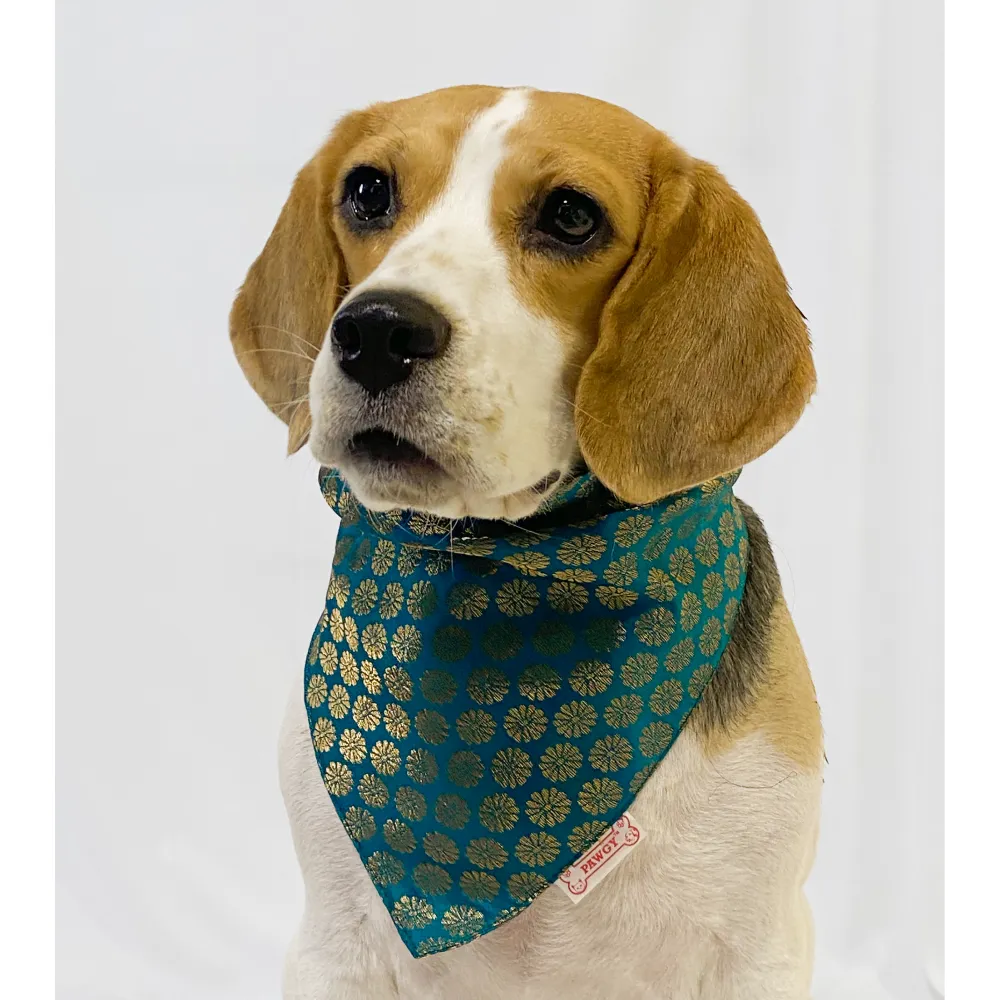 Pawgypets Occasion Wear Bandana for Dogs and Cats (Teal Blue)
