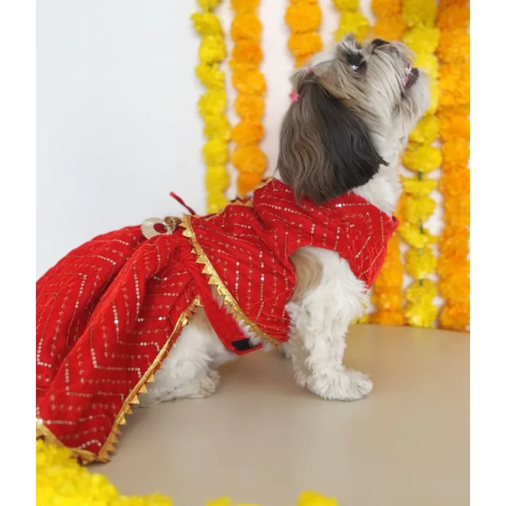 Pawgypets Velvet Lehenga for Dogs and Cats (Red)