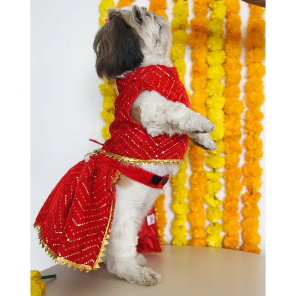 Pawgypets Velvet Lehenga for Dogs and Cats (Red)