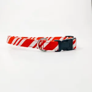 Peppermint Stripes Dog Collar/ Cat Collar Charlotte's Pet