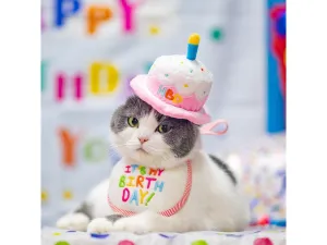 Pet Birthday Hat Pets Qatar
