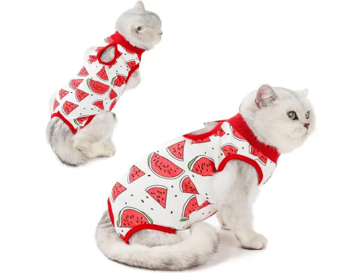Pet Clothes Watermelon Pets Qatar