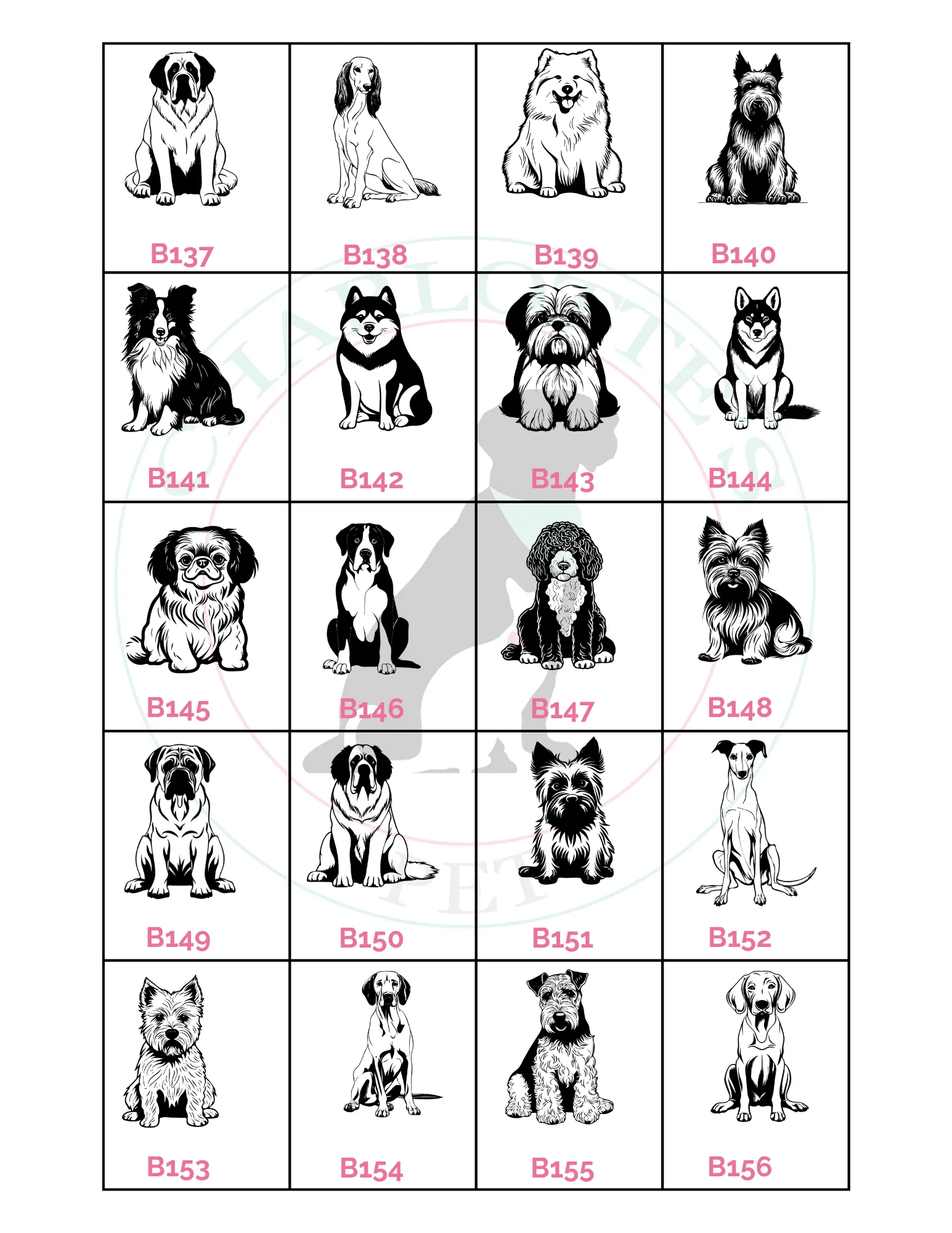 Pet Engraved Keychain Charlotte's Pet