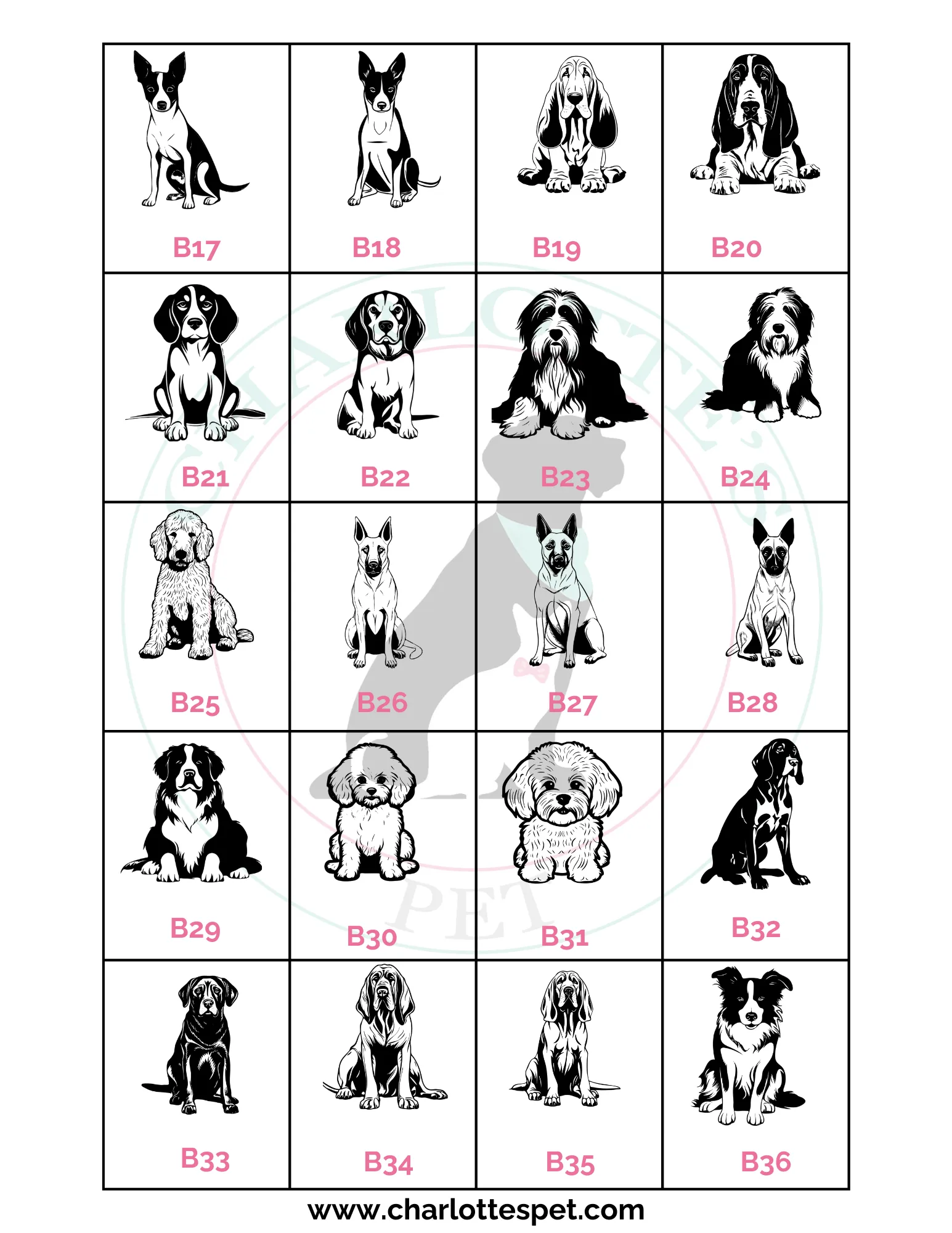 Pet Engraved Keychain Charlotte's Pet