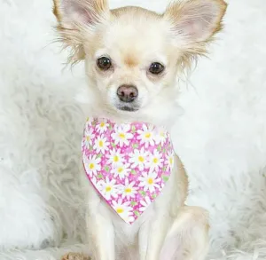Pink Daisy Bandana Charlotte's Pet