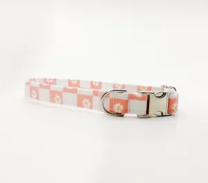 Pink Daisy Checker Dog Collar/ Cat Collar Charlotte's Pet
