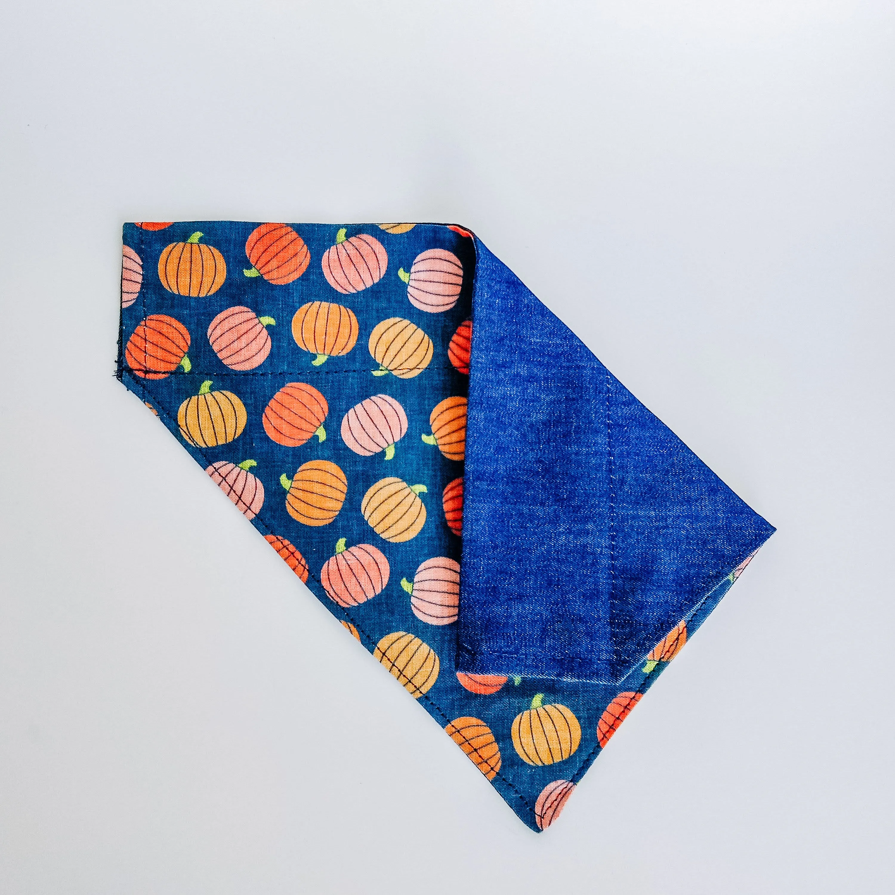 Pumpkin Fields Dog Bandana & Cat Bandana Charlotte's Pet