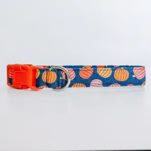 Pumpkin Fields Dog Collar/ Cat Collar Charlotte's Pet