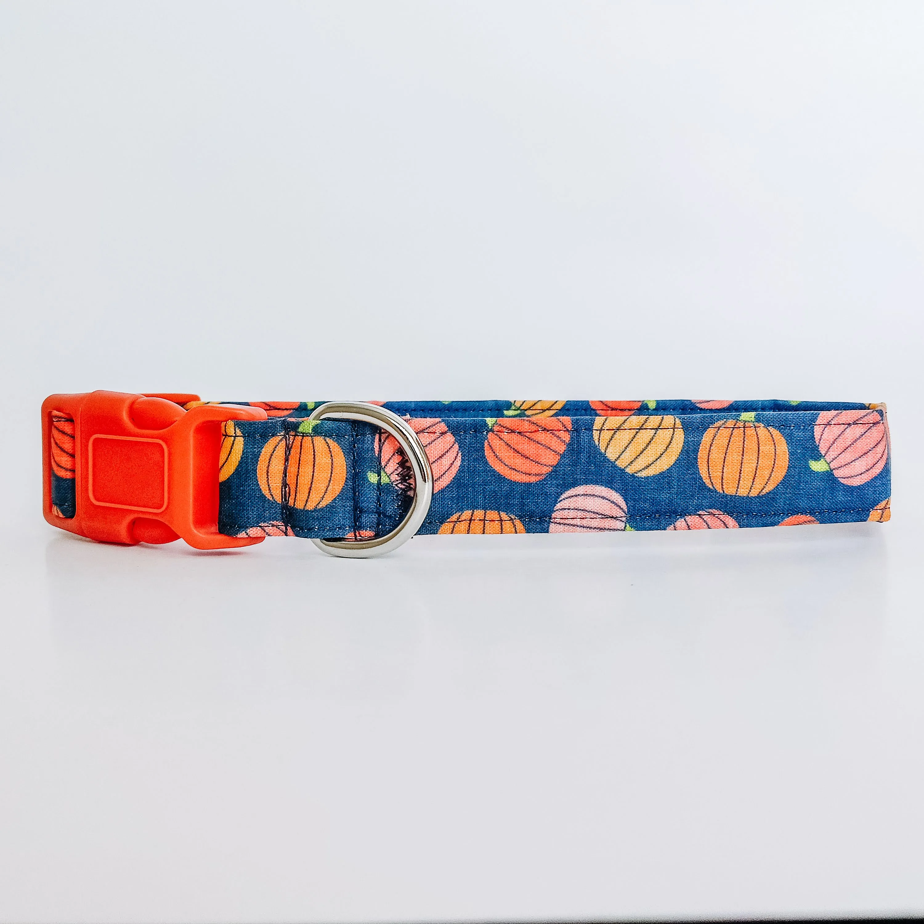 Pumpkin Fields Dog Collar/ Cat Collar Charlotte's Pet