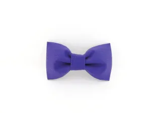 Purple Bow Tie/Flower Charlotte's Pet