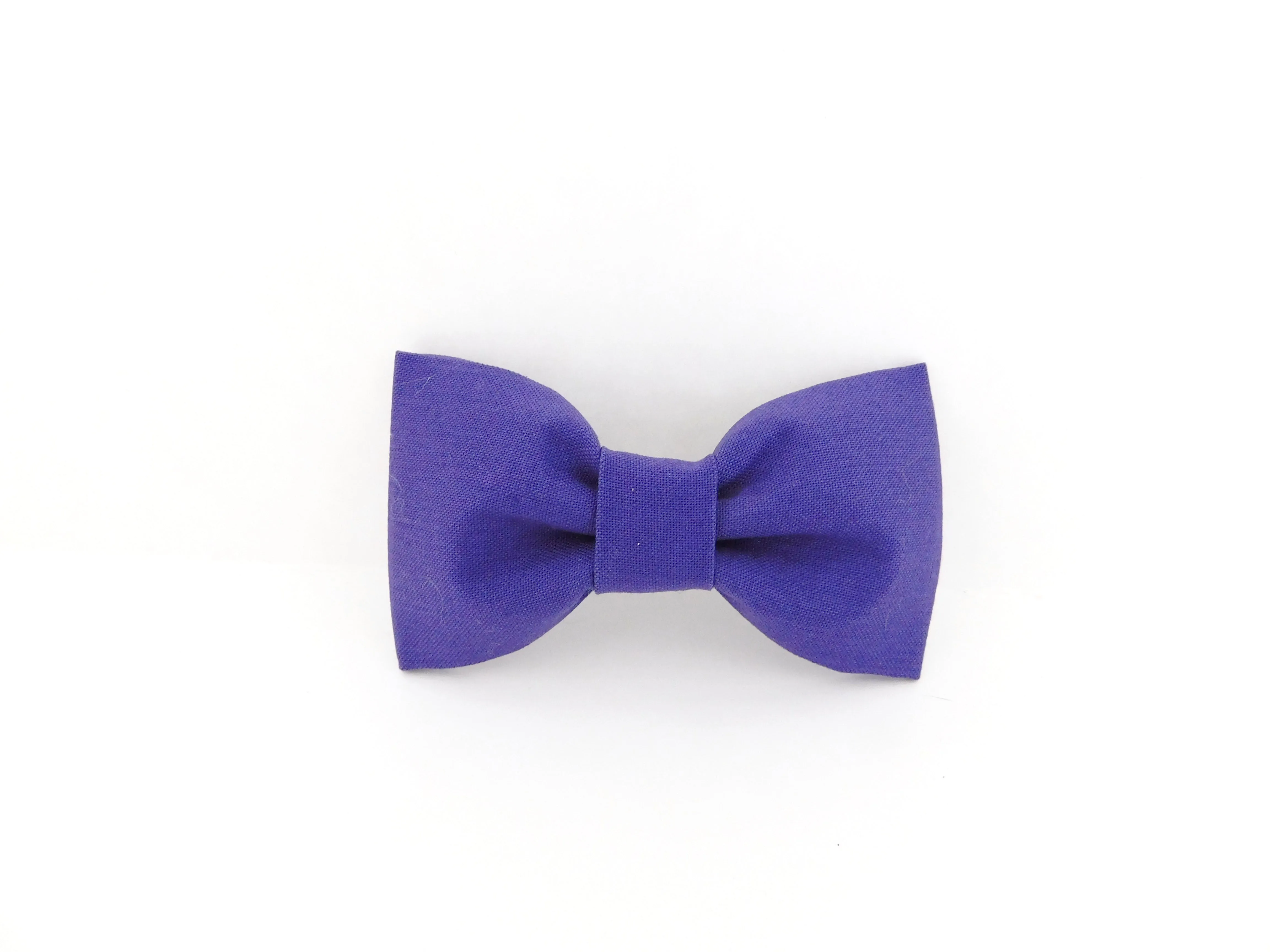 Purple Bow Tie/Flower Charlotte's Pet