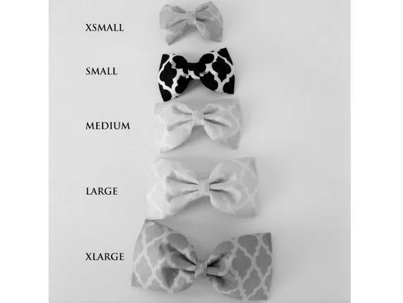 Teal and Gold Dots Flower/Bow Tie Charlotte's Pet