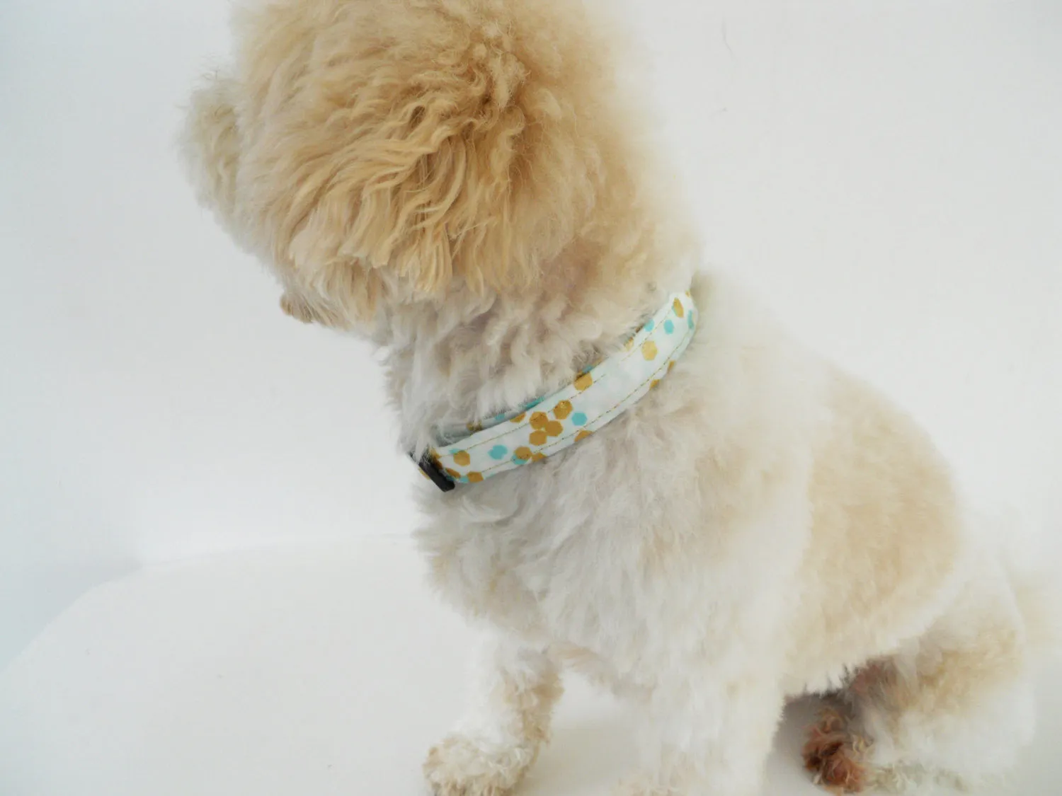 Teal and Gold  Polka Dot Collar Charlotte's Pet