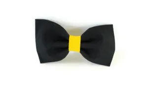 Team Colors Bow Tie/Flower Charlotte's Pet