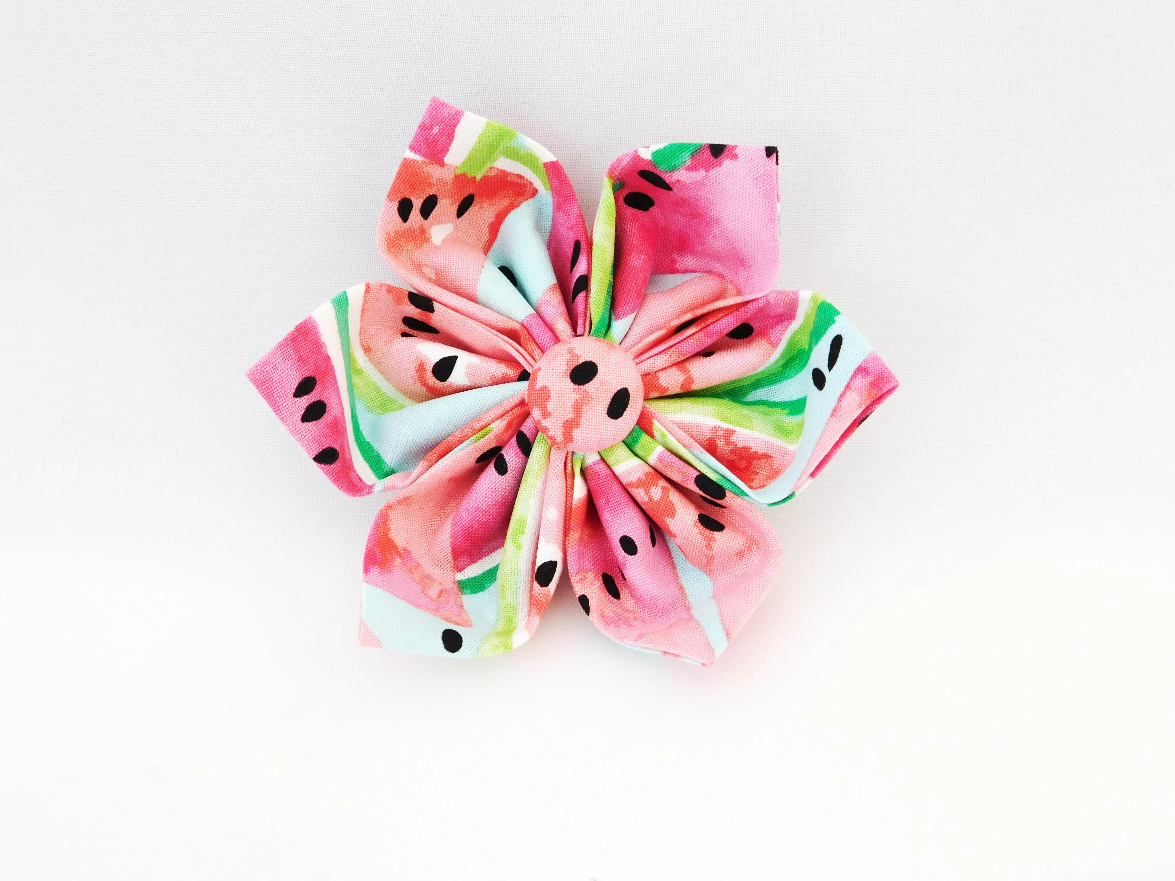 Watermelon Slices Bow Tie/Flower Charlotte's Pet