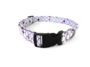 White and Purple Collar Charlotte's Pet