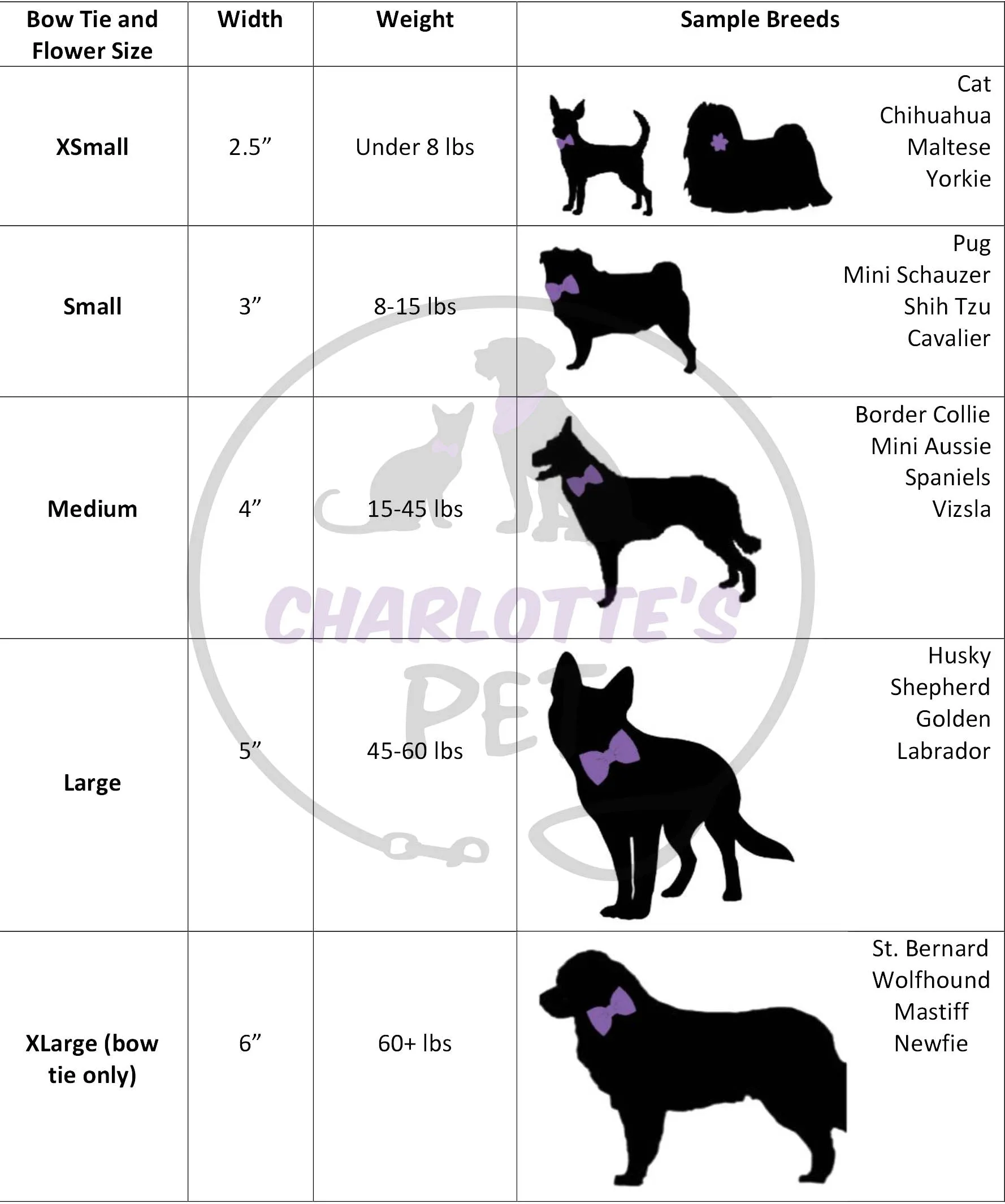 Witch Stripes Collar Flower/Bow Tie Charlotte's Pet