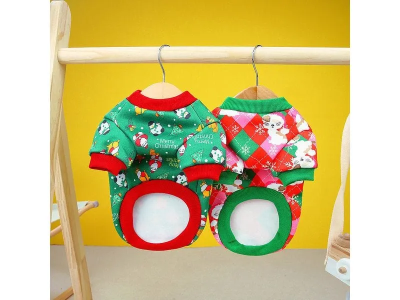 Woman Cat Clothes Pets Qatar
